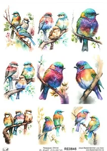 Reispapier A4 Strohseide Decoupage bunte Vögel auf Ast Baum Vogel RE0846 - Bild 1 von 1
