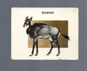 Animals of the World Card # 200 - TOPPS (1951) Nilghai - Picture 1 of 2