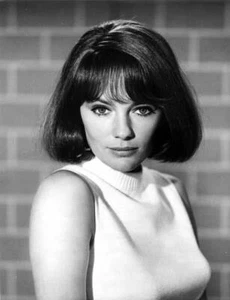 JACQUELINE BISSET gran retrato original 7""x9"" fotograma (p500) - Imagen 1 de 1