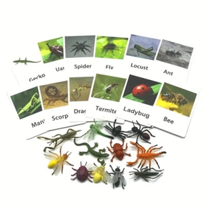 Montessori Animal Matching Card,Language Learning Cognitive Kids Educational Toy - Picture 1 of 18