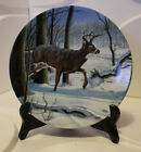 White Tailed Deer Collectible Plate 8.5" Dominion China 1989 Outdoor Hunt Idaho!