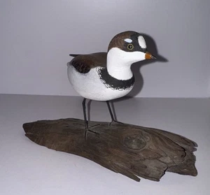 C. WATERFIELD & SON HAND CARVED SHORE BIRD DECOY SIGNED 1982 BEAUTIFUL! VINTAGE - Picture 1 of 9