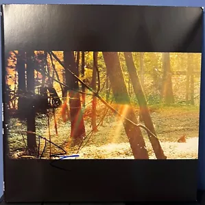 Childish Gambino Donald Glover signed Camp 12" lp album - Picture 1 of 4