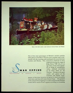 HENLEY SWAN UPPING um 1950 GESCHICHTE 4 Seiten Original Beilagenbilder F114 - Bild 1 von 1