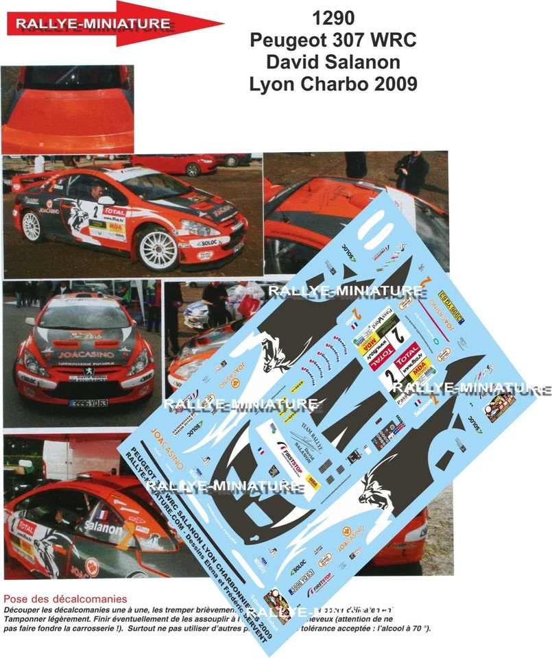 DECALS 1/24 REF 1290 PEUGEOT 307 WRC SALANON RALLYE LYON CHARBONNIERES 2009 - Photo 1/1