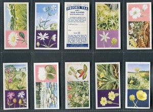PRIORY TEA 1963 - WILD FLOWERS - PICK YOUR CARD