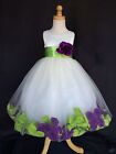 Flower Girl Dress Ivory Rose Petal Toddler Birthday Bridesmaid Easter Holiday#24