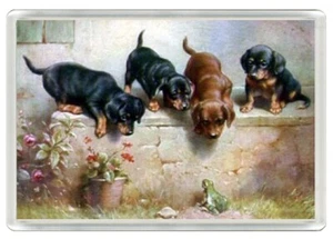 DACHSHUND BEAUTIFUL DOGS & FROG DOG ART PRINT NOVELTY FRIDGE MAGNET GREAT GIFT - Picture 1 of 1