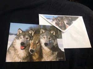Gray Wolf Greeting Card, Mint Condition, Blank, Unused - Picture 1 of 1