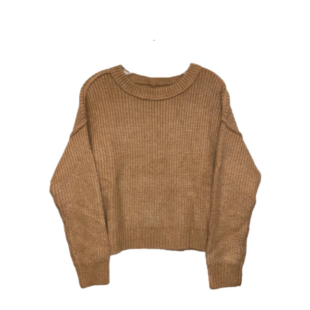 American Eagle Women's Crew neck Long sleeves Tan Sweater, S - Image 1 of 1