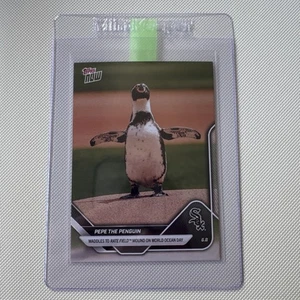 2025 Topps Now MLB #276 Pepe the Penguin Chicago White Sox - Picture 1 of 3