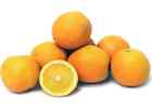 5+ Lima Orange Seeds For Garden Planting - Usa - Free Shipping!