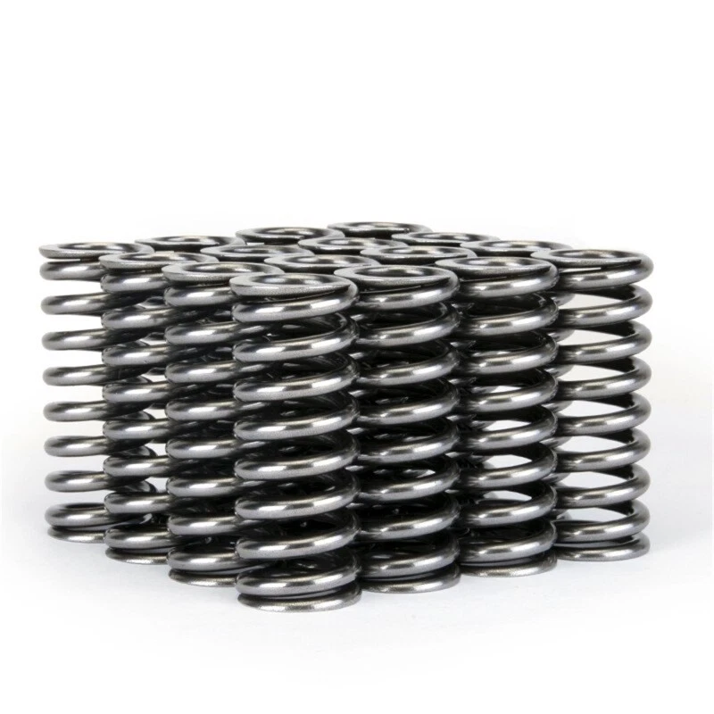 Skunk2 Alpha Series Honda D Series VTEC Valve Spring Set - Image 1 of 4