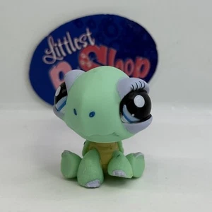 TURTLE #1388 - Auténtica tienda de mascotas Littlest - Hasbro LPS - Imagen 1 de 4