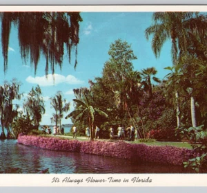 Flower-time Lakeland FL America’s Tropical Wonderland 1959 sin publicar - Imagen 1 de 4