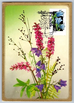 #2689 Wildflowers Harebell Maxi Card w/Pictorial Cancel - Image 1 of 2