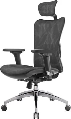 SIHOO M57 Ergonomic Office Chair, Mesh Desk Chair with Adjustable Lumbar Support
