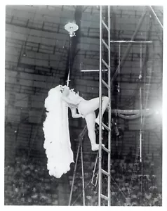 1987 Vintage Photo Flying Pages Trapeze Acrobats of American Continental Circus - Picture 1 of 2