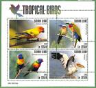 A2528 - SIERRA LEONE - BŁĄD: MISPERF, miniaturowe ptaki tropikalne s- 2019, pelikan