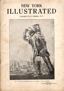 New York Illustrated - Bild 1 von 2