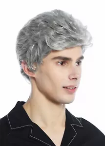 Perücke Herren Damen unisex kurz leicht gewellt Tolle Grau Silbergrau Perrücke - Bild 1 von 6