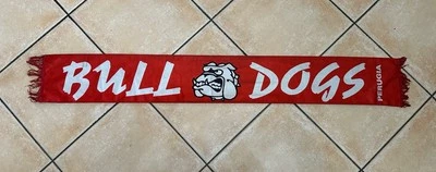 Sciarpa Vintage Rara Ultras Bulldogs Perugia No Cucs Fedayn Irr Boys - Immagine 1 di 4