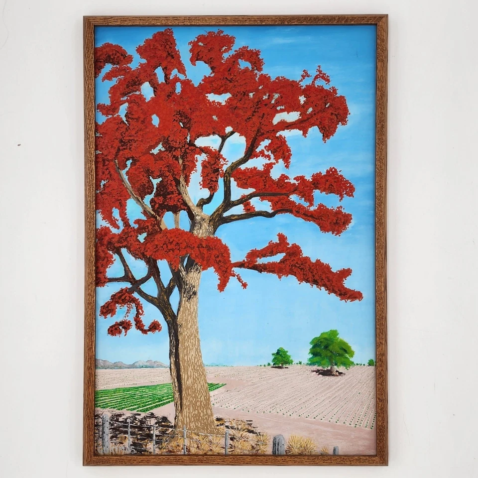 Pintura de paisaje de árbol de Poinciana real estilo salteador de Florida firmada enmarcada Foto 1 de 4