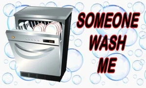 Dishwasher Novelty Magnet Someone Wash Me - Picture 1 of 1