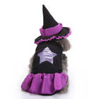 Seasonal Pets Dog Costume - Purple Witch