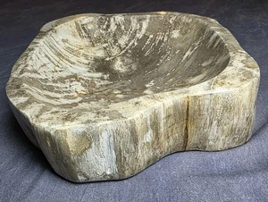 Interlude Home Petrified Wood Bowl Decorative Catchall Dish Made in Indonesia - Picture 1 of 6
