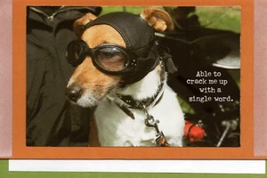 Funny BIRTHDAY Card FOR BROTHER, Dog Glasses Crack Up — American Greetings +✉ - Picture 1 of 5