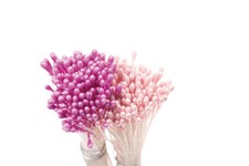 Confezione 288 pistilli viola rosa perla Decora