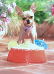 "Have the Best Birthday You'll Never Remember!" AVANTI BIRTHDAY CARD Chihuahua