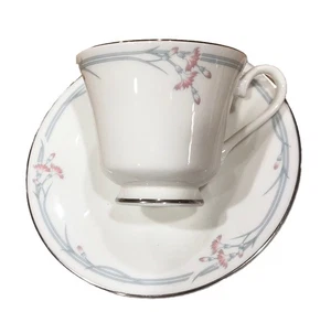 Taza de té y platillo Royal Doulton Clavel H5084 hueso fino China Inglaterra de colección nuevo - Imagen 1 de 8