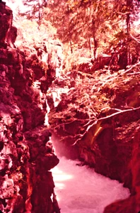 1958 Sierra Mountain Stream California Ektachrome Print Travel Photo 8 X 10 - Picture 1 of 1