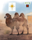 Bactrian Camel Wildlife Toy Model Figure by CollectA 88807 Christmas Nativity