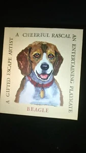 Beagle stretched picture artwork print - Picture 1 of 3