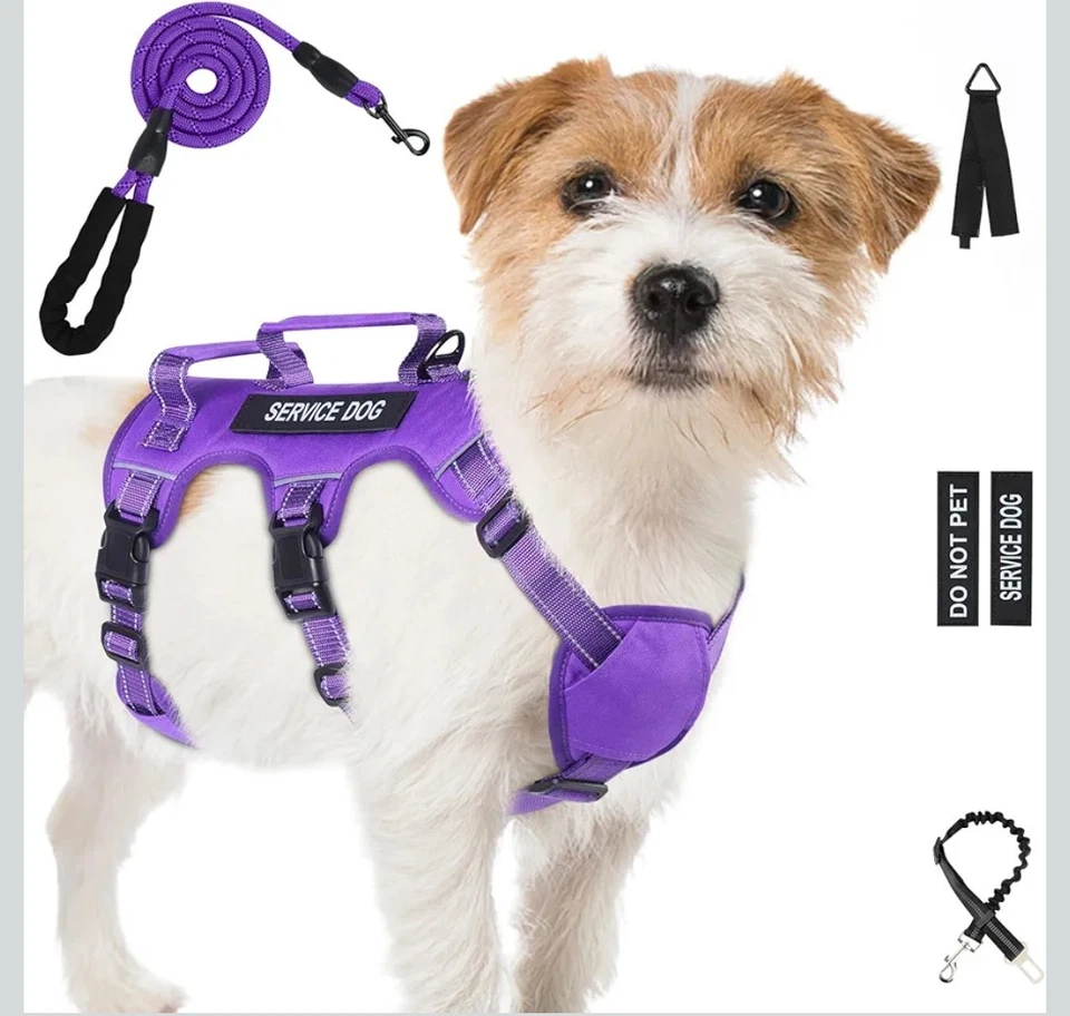 Escape Proof Dog Harness for Small Medium Dogs Six Point Adjustable (S/M) Purple - Image 1 of 4