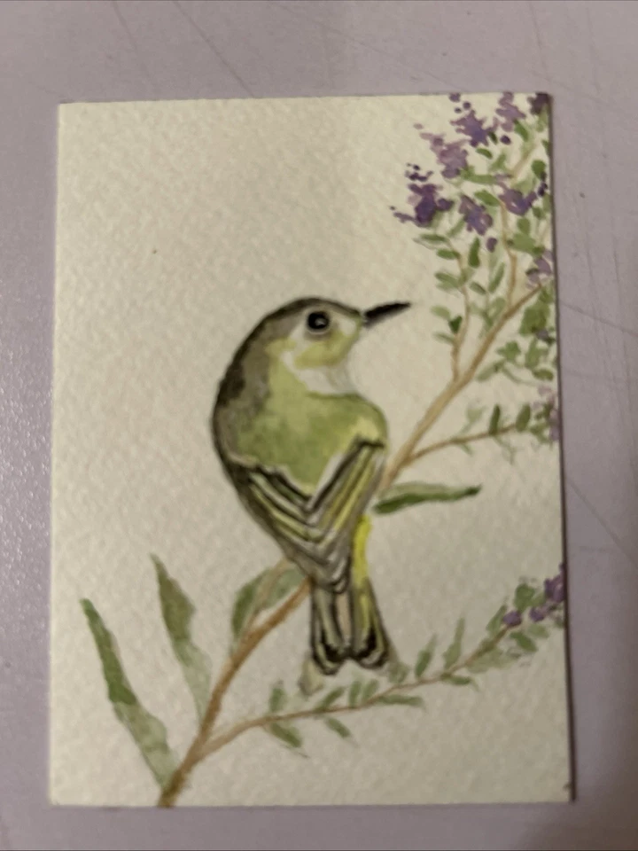 ACEO Original Watercolor Painting Paper Pretty Little Green Bird Miniature Art - Image 1 of 1