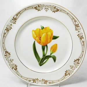CHELSEA GOLD TULIP by Aynsley Salad Plate 8.25" NEW NEVER USED made England - Picture 1 of 3