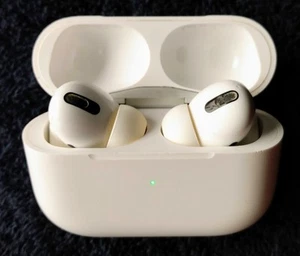 AirPods Pro 1st Generation With Case - Working - Zdjęcie 1 z 6