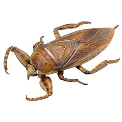 KAIYODO REVO GEO Kirkaldyia deyrolli 155mm Action Figure w/ Tracking NEW - Image 1 of 4