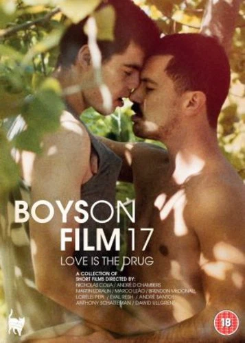 Boys On Film 17 - Love Is the Drug DVD (2017) Silvio Canihuante, Schatteman - Image 1 of 1