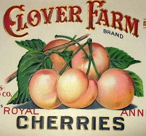 Antique Can Label 1920'S Clover Farm Royal Anne Cherries Original NOS Unused - Picture 1 of 10