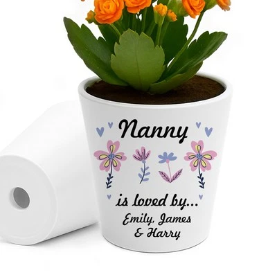 RED OCEAN Nanny Gifts For Birthday Christmas Personalised Plant Pot Nanny Is Loved By Gift