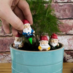 Mini Plant Pot Gnomes Set of Four Novelty Planter Garden Decoration 4-pack