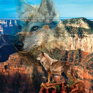 Jigsaw Puzzle Animal Wild Wolf Haunted Canyon 500 pieces NEW made in USA - Picture 1 of 1