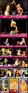 (15) 2008-09 Topps WWE Diva Wrestling Card Lot