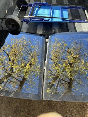 1982-1992 Chevy Camaro Pontiac Firebird Trans Am T-Top Roof Glass Iroc OEM 1984 Foto 1 de 4