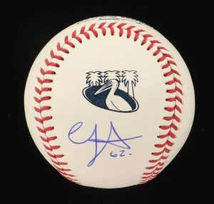 Ronel Blanco "No Hitter" signierter Rawlings offizieller Baseball & Display - Astros - Bild 1 von 3